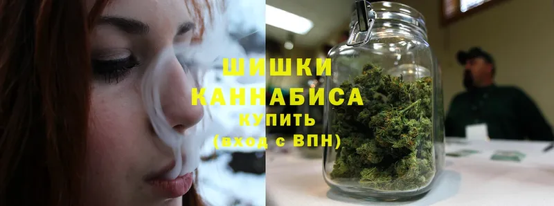 купить наркоту  mega сайт  Марихуана White Widow  Камызяк 